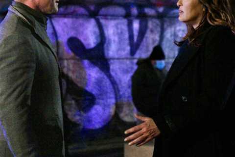 Twitter Erupts After Law &amp; Order SVU Reunion Between Benson and Stabler Ends in Tragedy