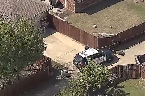 Six Family Members Killed in Texas Amid Teen Brothers' Murder-Suicide Pact: Police