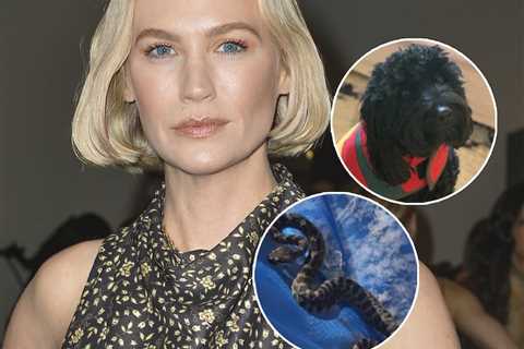 January Jones Says She Caught a Rattlesnake After It Bit Her Dog