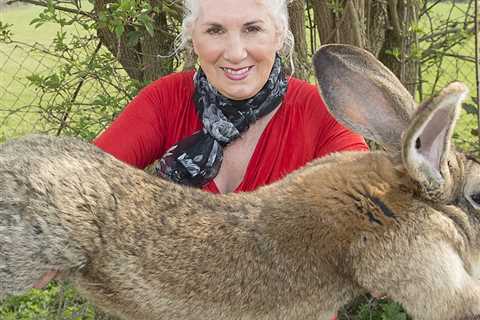 World's Biggest Rabbit Rabbitnapped