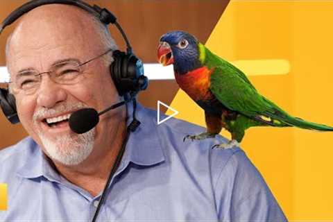 How Do I Get My Bird Training Business Off the Ground? (Wing It?)