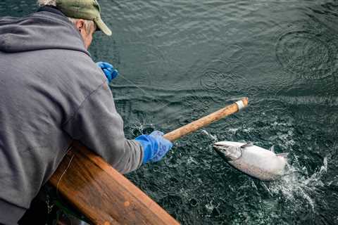 On the Water in Alaska, Where Salmon Fishing Dreams Live On