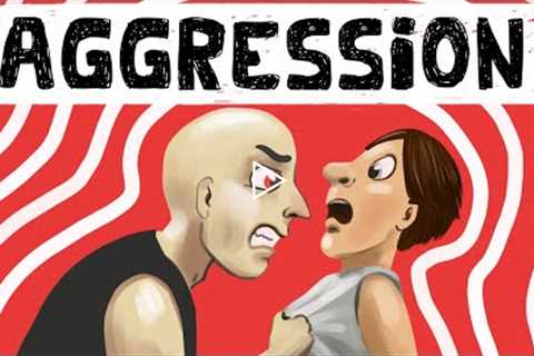 Theories of Aggression in Social Psychology