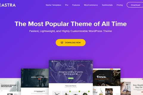 Best Ecommerce WordPress Themes
