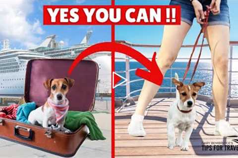 I Have Found 6 Epic PET-FRIENDLY CRUISES !!