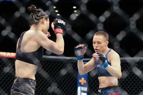 My Crash Course in Covering Mixed Martial Arts