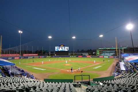 The Blue Jays Will Fly North, but Not All the Way to Canada