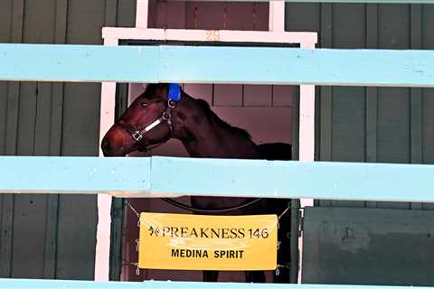 Dermatitis Ointment Caused Positive Drug Test, Baffert Says