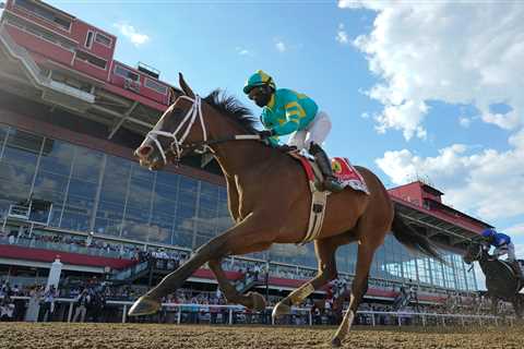 Army Wife, with Joel Rosario aboard, won the Black-Eyed Susan. Is that an omen?