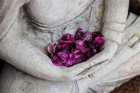 Meditation for Beginners: 10 Weeks of Free Guided Tracks