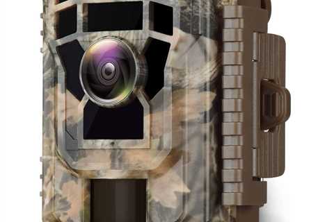 6 Best Bird Feeder Cameras