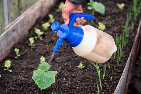 Homeowner’s Guide to Garden Fertilizers