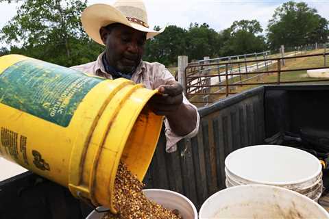 Banks Fight $4 Billion Debt Relief Plan for Black Farmers
