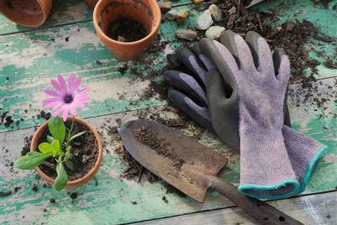 Everything You Need for Any Type of Garden