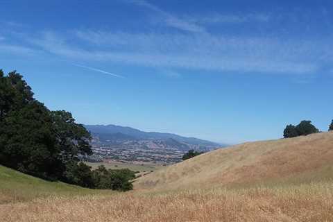 Harvey Bear While The Hills Are Still Green