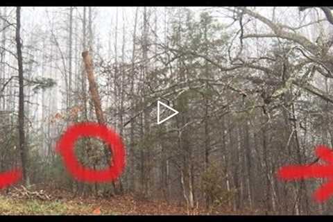 OMG! There Are NO WORDS For This Terrifying Trail Cam Video!
