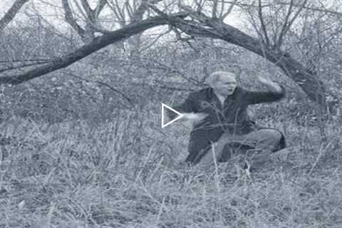 Disturbing Images Captured by Trail Cams That Will Give You the Chills
