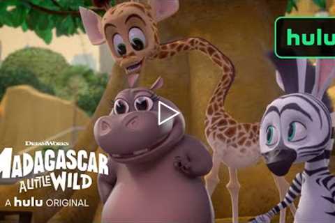 A Little Wild On New Year's Eve! | Madagascar: A Little Wild  Season 3 Clip | A Hulu Original