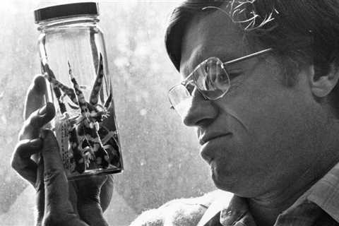 David Wake, Expert on Salamanders and Evolution, Dies at 84