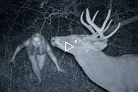 Top 10 WEIRD Trail Cam Photos That Will Haunt You