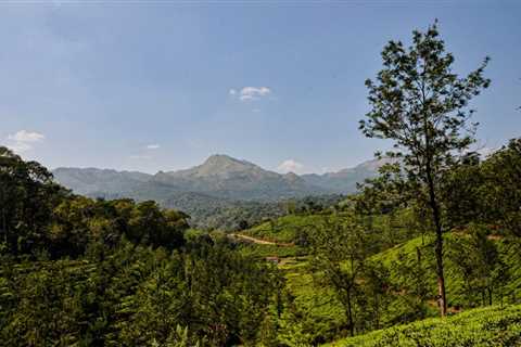 Top Places to Stay in Wayanad