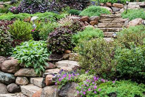 Hillside Landscaping Ideas for a Sloped Yard