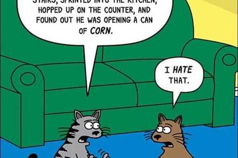 Weekly funnies …