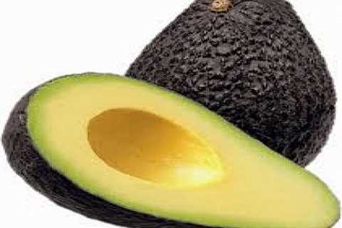 Avocado Spread – Easy Recipe