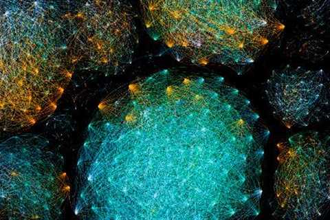 How the body builds a healthy relationship with ‘good’ gut bacteria