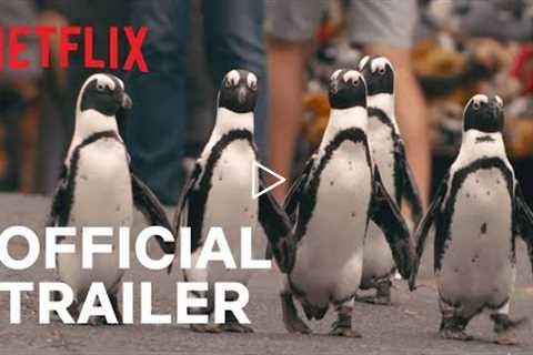 Penguin Town | Official Trailer | Netflix