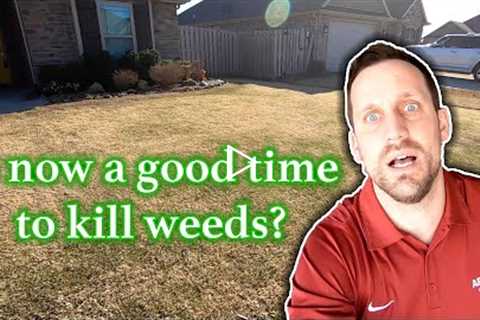 When To Kill Weeds in the Lawn // How To See Better Results With Weed Killer // DIY Weed Free Lawns