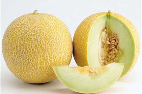 Free Diet Tips In India; Eat Muskmelon