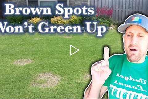Brown Patches on Bermudagrass Lawn in Spring // Dead Spots in Lawn Won't Turn Green &amp; Grow //..