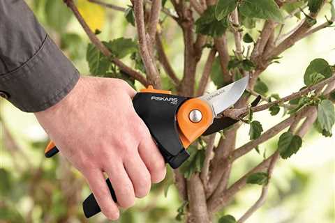 Essential Indoor Gardening Tools