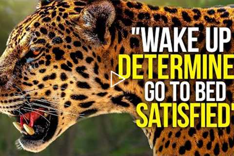 WAKE UP DETERMINED &amp; START THE DAY - Motivational Video Compilation - 30 Minute Morning..