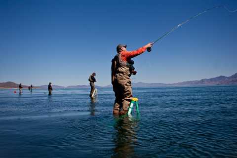 To Fish These Big Trout, Bring a Ladder