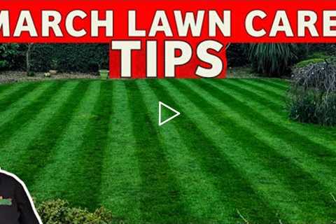 A cheap easy way to make your lawn green | diy lawn care for beginners
