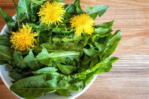 How To Get Rid of Dandelions in Your Lawn