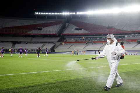 The Copa América soccer tournament will be played in Brazil instead of Argentina.