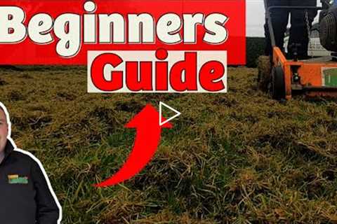 First lawn renovation of the year lawn | Getting the basics right