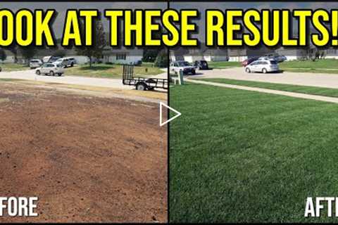 Renovation RESULTS From 2020 + Do I REALLY Like The FESCUE??