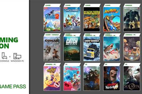 Solasta: Crown of the Magister, The Wild at Heart and More Coming to Xbox Game Pass in May