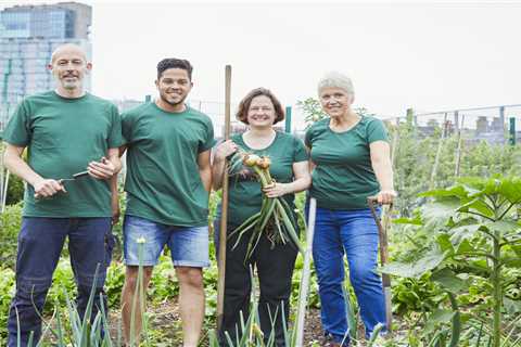 How to find volunteer opportunities near you