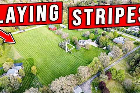 Dominating The Neighborhood! Watch Us Mow!