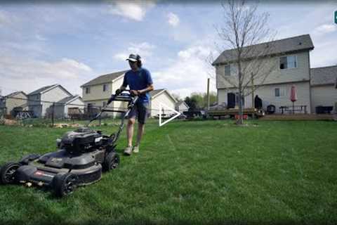 I Left My Lawn For 6 Days... + BONUS FOOTAGE