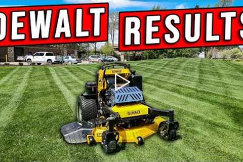 Can The DEWALT Stander Lay Stripes? (FIND OUT!)