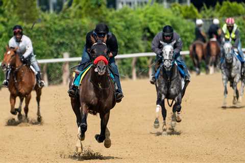 Expert Picks: Who Will Win the Belmont Stakes?