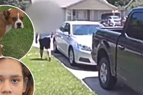 Texas Mom Opens Fire on Neighbor's Escaped Puppy, Shoots Own Son Instead: Police