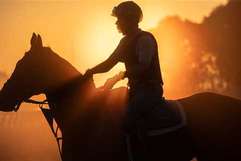 Live Updates: Photos from the Belmont Stakes