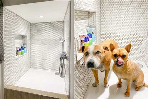 Woman transforms corner of her garage into stylish mini walk-in shower for her dogs
